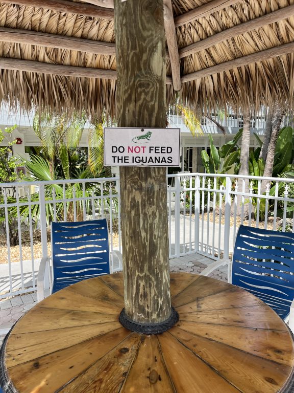Affordable Key Largo Weekend Getaway: Budget-Friendly Florida Hotel with Resort Vibes